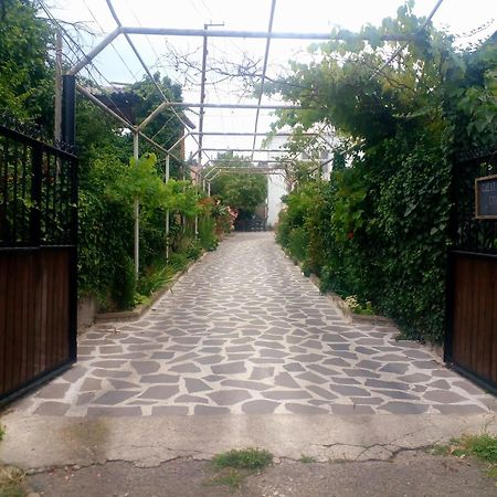 Guesthouse Giorgi Telavi Exterior foto