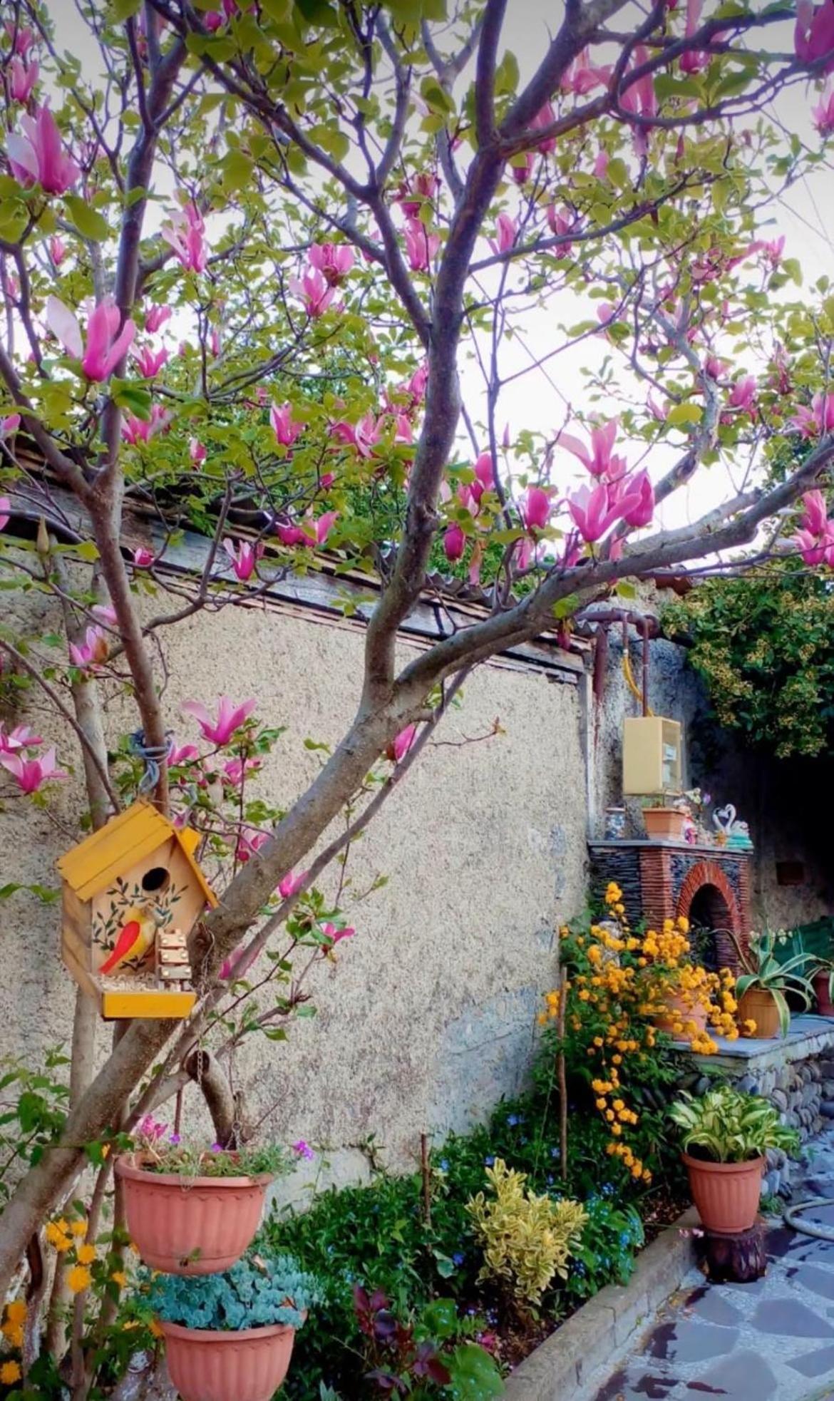 Guesthouse Giorgi Telavi Exterior foto